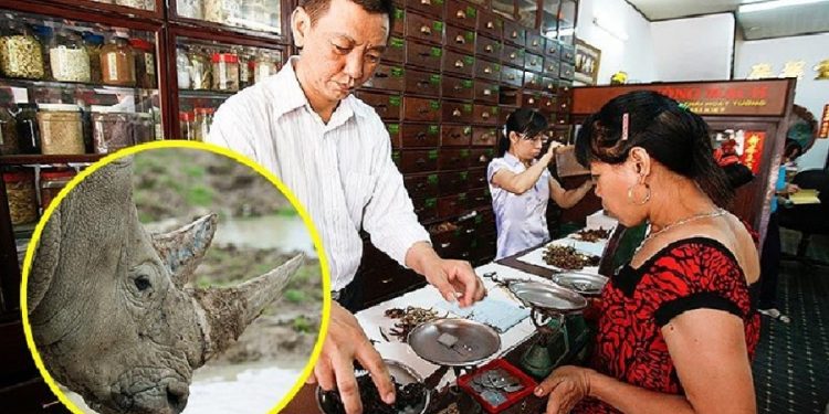 Tren Baru Pasar Tanduk Badak, dari Kesehatan ke Gengsi Status Kekayaan