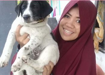 Wanita Berhijab ini Selamatkan Ratusan Anjing Liar
