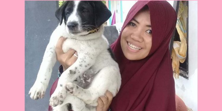 Wanita Berhijab ini Selamatkan Ratusan Anjing Liar