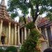Grand Palace, Istana Raja yang Spektakuler