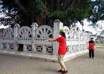 Keajaiban di Antara Dua Beringin