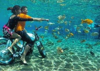 Jernihnya Umbul Ponggok