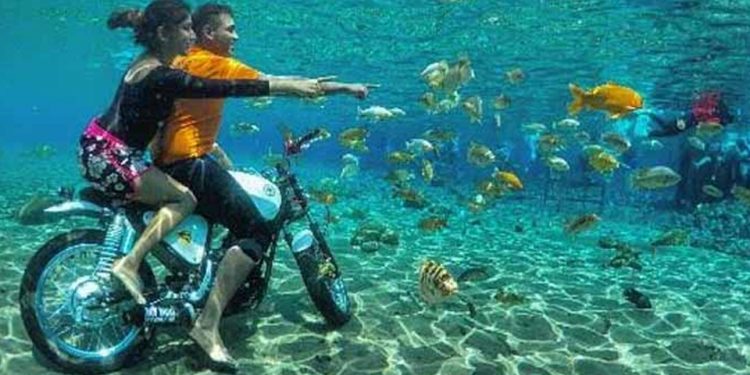 Jernihnya Umbul Ponggok
