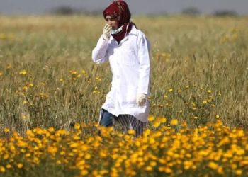Razan, Surga Jannah Sudah Menantimu