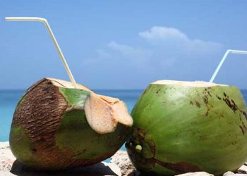 Manfaat Air Kelapa untuk Ibu hamil