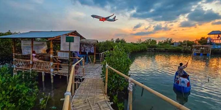 Maron Mangrove Edupark, Tempat Wisata Hits di Semarang
