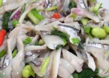 Lawar Teri Mentah dari NTT