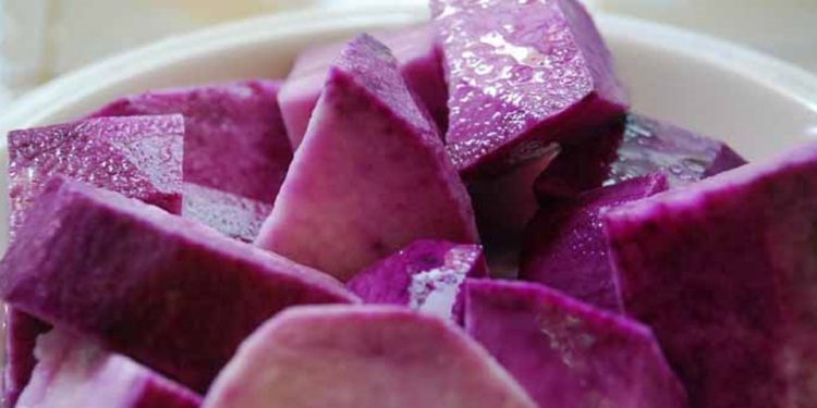 Makanan Warna Ungu Memerangi Risiko Kanker