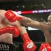 Lennox Lewis Siap Rematch Lawan Vitali Klitschko