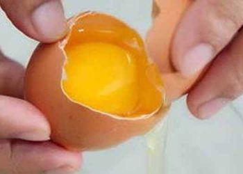 Tekanan Darah Tinggi? Konsumsilah Putih Telur