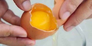 Tekanan Darah Tinggi? Konsumsilah Putih Telur