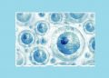 Apa itu Stem Cell, dan Apa yang Mereka Lakukan?