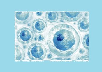 Apa itu Stem Cell, dan Apa yang Mereka Lakukan?