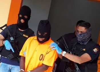 Bunga Plastik Tandi Kogoya