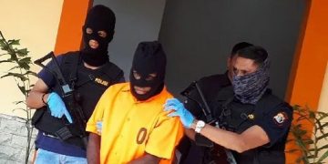 Bunga Plastik Tandi Kogoya