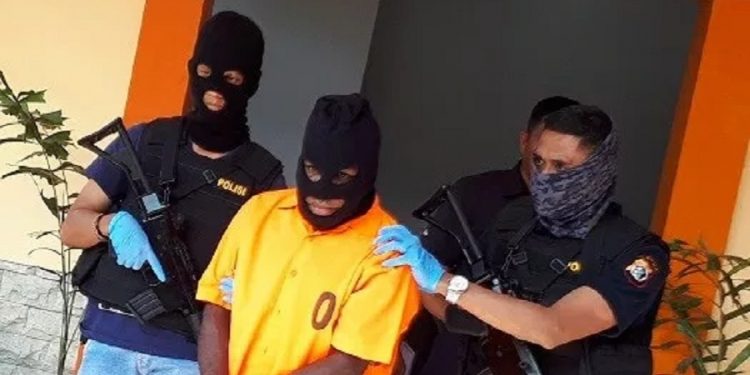 Bunga Plastik Tandi Kogoya