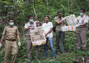 3175 Burung yang Hendak Diselundupkan Diamankan di Bakaheuni