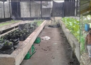 Merebut Hati Masyarakat Papua Melalui Binmas Noken