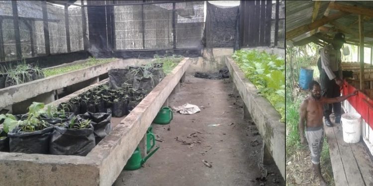 Merebut Hati Masyarakat Papua Melalui Binmas Noken