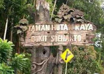 Pertambangan Batu Bara Ilegal di Tahura, Ketua DPR: Usut dan Tindak Tegas!