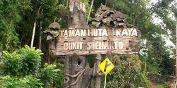 Pertambangan Batu Bara Ilegal di Tahura, Ketua DPR: Usut dan Tindak Tegas!