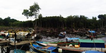 Membangun Tanimbar Setengah Hati!