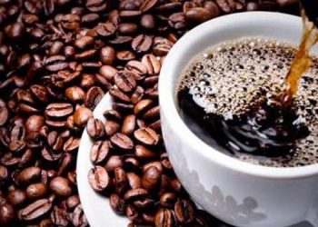Ngopi Bareng Milenial, Semakin Pahit Kian Nikmat