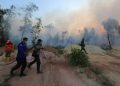 Belum Satupun Perusahaan Perusak Hutan Bayar Total Denda Rp 18,9 Triliun
