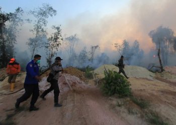 Belum Satupun Perusahaan Perusak Hutan Bayar Total Denda Rp 18,9 Triliun