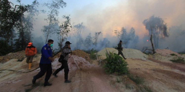 Belum Satupun Perusahaan Perusak Hutan Bayar Total Denda Rp 18,9 Triliun