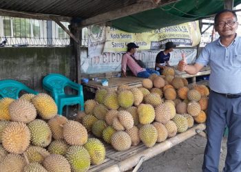Nikmatnya Raja Buah Mang Uban