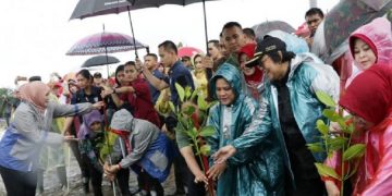 Demi Hutan Rehabilitasi Mangrove Ibu Iriana Rela Kehujanan