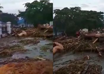 Banjir Bandang Sentani: 79 Jiwa Meninggal Dunia dan 43 Hilang