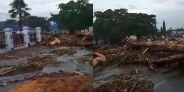 Banjir Bandang Sentani: 79 Jiwa Meninggal Dunia dan 43 Hilang