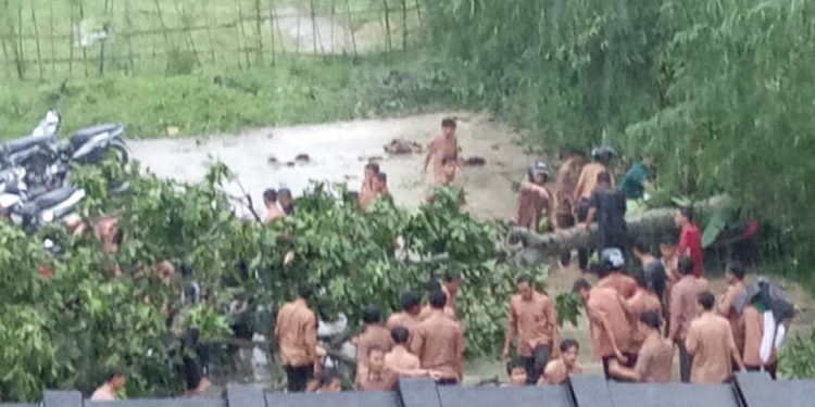 Yogya Diguncang Angin Kencang