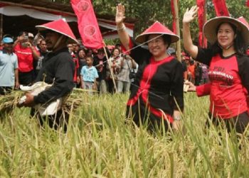 Megawati Ajak Para Pemuda Mau Bertani
