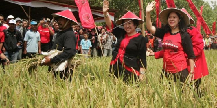 Megawati Ajak Para Pemuda Mau Bertani