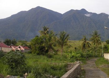 Gelinding “Bola Salju” Doni di Sentani
