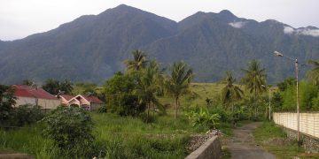 Gelinding “Bola Salju” Doni di Sentani