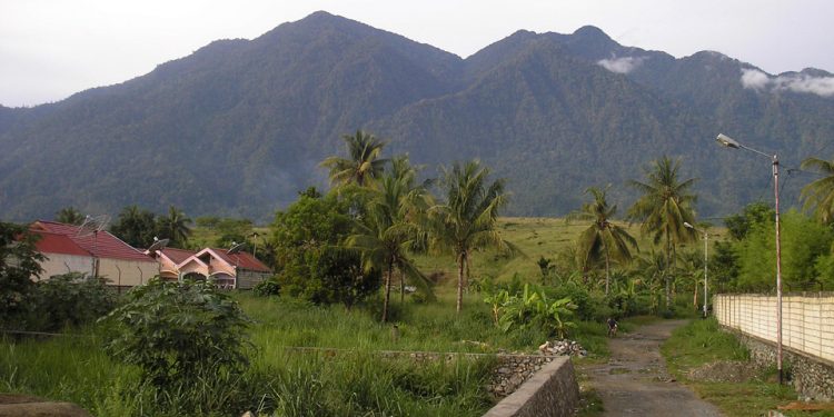 Gelinding “Bola Salju” Doni di Sentani