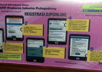 Pengalaman Ngurus EFIN