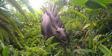 “Dinosaurus” Bikin Gaduh Taman Mini