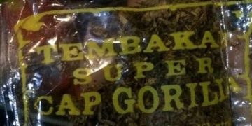 Orangtua vs Gorilla: Bagaimana Adiksi Mengalahkan Keluarga (Bag 2)