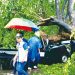 Suyanto Tewas Tertimpa Pohon Tumbang
