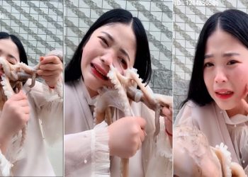 Video: Livestreamer China Ini Nyaris Robek Wajahnya Ketika Coba Makan Gurita Hidup-hidup