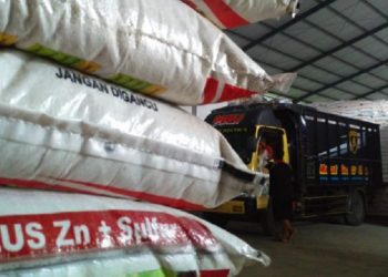 Petro Kimia Siapkan Stok Pupuk Bersubsidi 909-ribu Ton