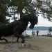 Batu Hoda, Pantai tak Bertepi Laut