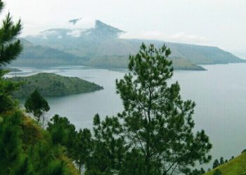 Janji yang Tertunda di Bukit Holbung