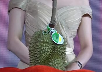 Busyet,  Satu Durian Terjual Rp 680 Juta