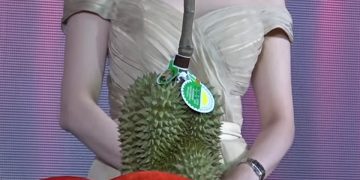 Busyet,  Satu Durian Terjual Rp 680 Juta